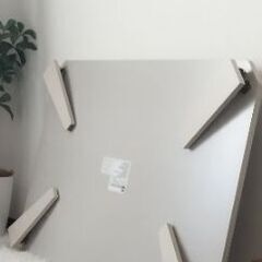 貰ってくれる方募集中！！の画像