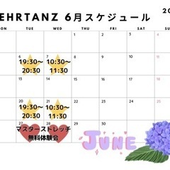 マスターストレッチ無料体験会🎁　メーアタンツ − 愛媛県