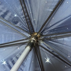 雨傘大きめ☆内側夜景東京タワーレインボーブリッジ☆ブルーグレーの画像