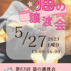 第６３回 猫の譲渡会～島忠ホームズ尼崎店～