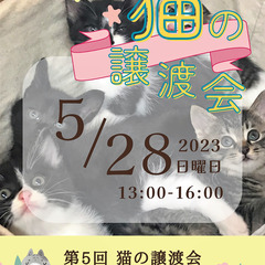 第５回 猫の譲渡会～中央北生涯学習プラザ～