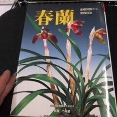 春欄　マーカー引き　最後のページ名前書いてあります