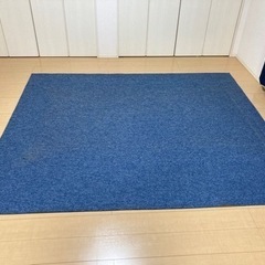 【譲渡先決定】カーペット