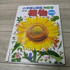 植物図鑑　差し上げます！