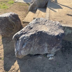 庭石　無料でお譲りします。　庭園　ガーデニングの画像