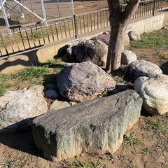 庭石　無料でお譲りします。　庭園　ガーデニングの画像