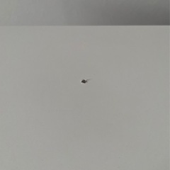 【商談成立】IKEA   テレビ台の画像