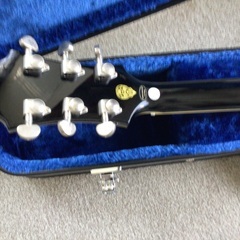 Epiphone Ubukata ES-355  生形真一 シグネチャーの画像
