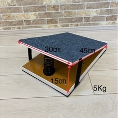 ロイター板mini(一つバネ) の画像