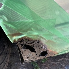 値下げしたので再投稿の画像