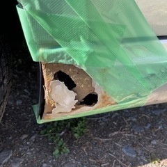 値下げしたので再投稿の画像