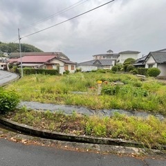 初夏のスタートアップ☆レンタルファーム恋野