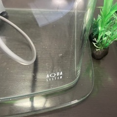 アクアシステム　ガラス　小型水槽　横36×縦22×高さ29 の画像