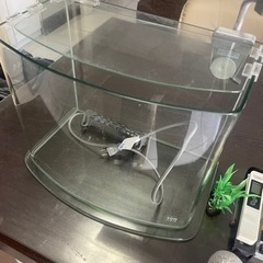 アクアシステム　ガラス　小型水槽　横36×縦22×高さ29 の画像