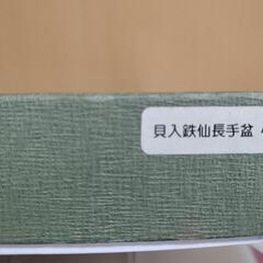 貝入鉄仙長手盆　小の画像