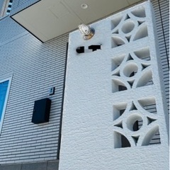 急募！！一緒に頑張って頂ける方！の画像