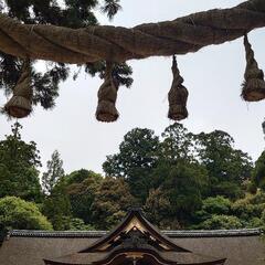 ⛩️神社巡りしませんか⛩️