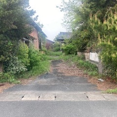 福岡県柳川市大和町300坪の売地‼️