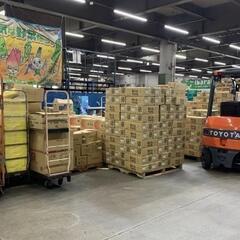 【福利厚生充実/未経験者大歓迎/夜勤】(横浜中央市場の青果品仕分け)