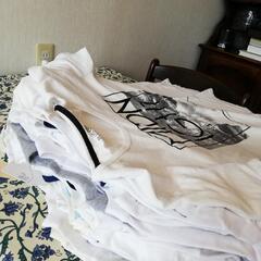 白Tシャツ30枚の画像