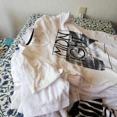 白Tシャツ30枚の画像