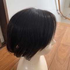 人工毛　ウィッグの画像