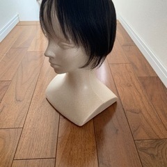 人工毛　ウィッグの画像