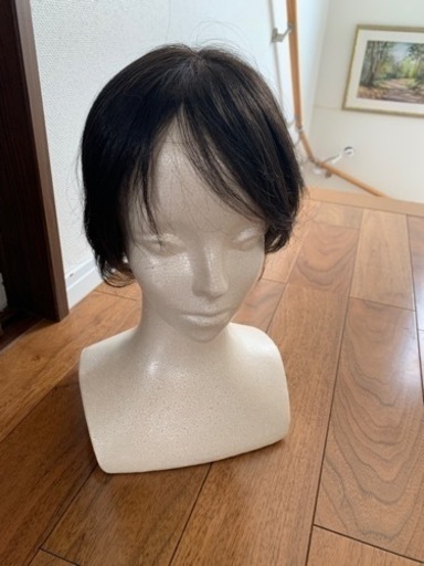 人工毛　ウィッグ