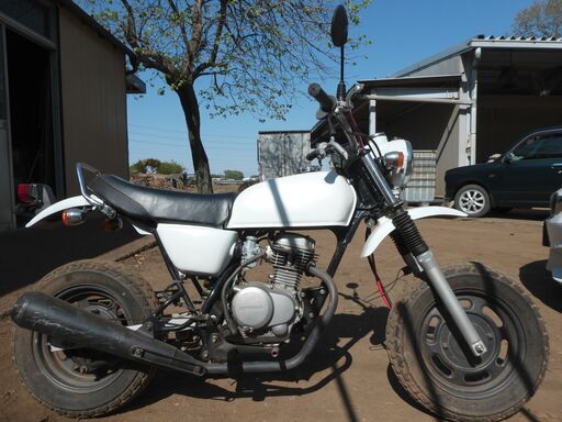 ホンダ エイプ50 改造 不動車