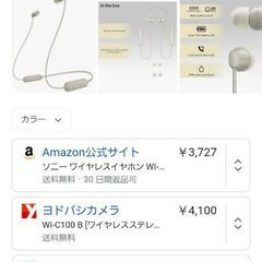 🎧️SONY WI-100 ワイヤレスイヤホン Bluetoothイヤホン の画像