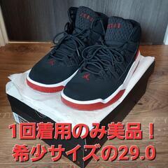 NIKE　エアジョーダン　マックスオーラ　29.0cm