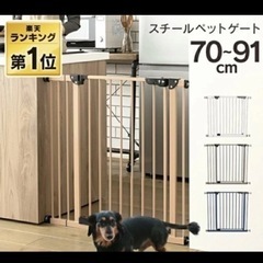 🔚スチールゲート　拡張フレーム付き