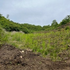 山林の活用にいかがですか