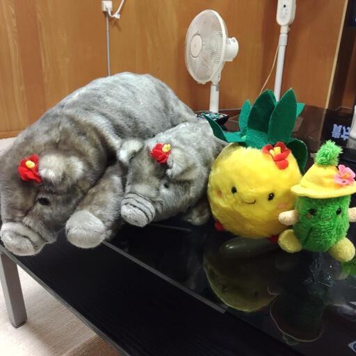 アグー親子、パイナップルゴーヤーぬいぐるみ