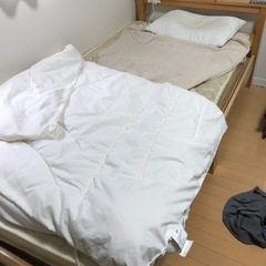 ベッド　ニトリ