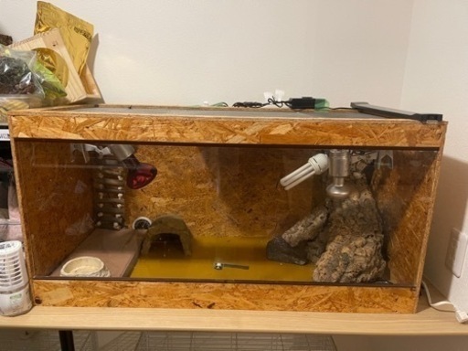 爬虫類ケージ　飼育セット　大型