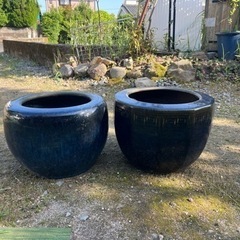 火鉢　ひばち　メダカの水槽