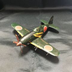 Hasegawa 1/72 RAIDEN