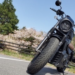 レブル250sエディション の画像