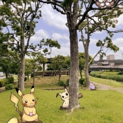 成田でポケカコミュニティ「成田ポケカ交流会」始めました！