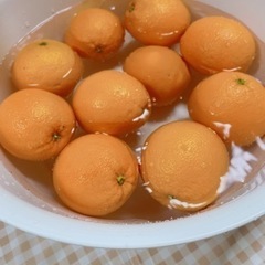 【大人気】ミネラルたっぷり！発酵ドリンク教室の画像