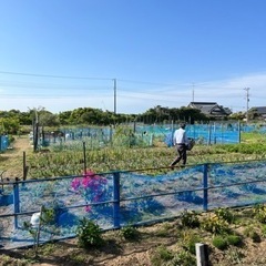 畑、野菜、花友達を作ろう！😊