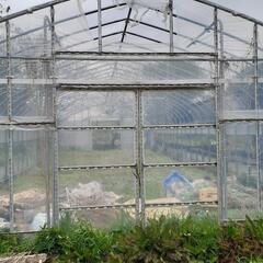 予定者決まりました。中古パイプハウスビニールハウス農業倉庫 (KYO