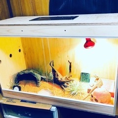 爬虫類用ケージ