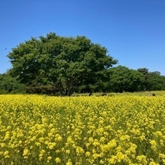遠距離恋愛、仕事が忙しい彼氏を持つ方