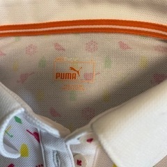 プーマ　ゴルフウェア　サイズMの画像