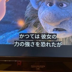 液晶テレビ42インチ　SHARP AQUOS LC42DS5の画像