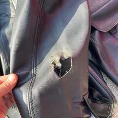 VAREG LINE 175ムーヴ　シートカバーの画像