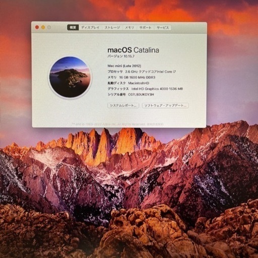 最終値下げ　macmini メモリ16GB SSD 1TB 爆速カスタム