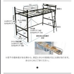 引き取り可能な方の画像